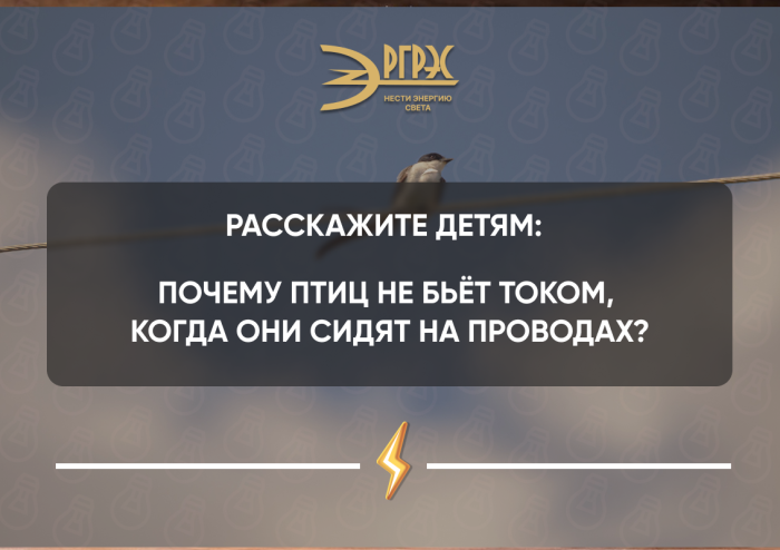 Почему птицы не получают удар током, когда сидят на проводах?