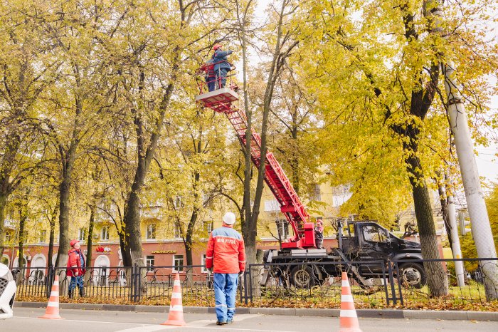 Опиловка деревьев на улице Есенина