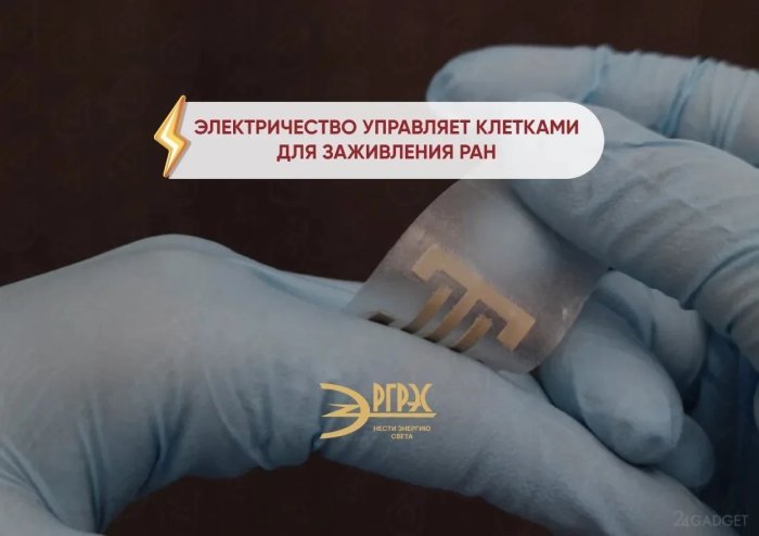 Интересный факт: электричество напрямую управляет клетками для заживления ран